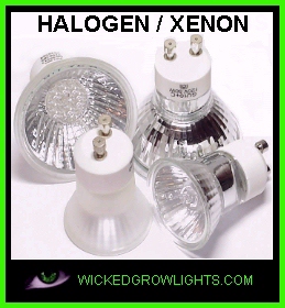 FEIT XENON GROW LIGHT BULB HALOGEN